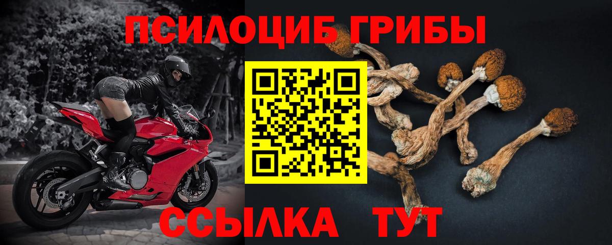 Псилоцибиновые грибы мухоморы Нефтеюганск