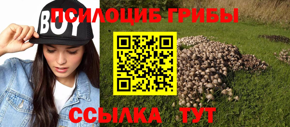 Нефтеюганск  Псилоцибиновые грибы мухоморы  Вход с VPN 